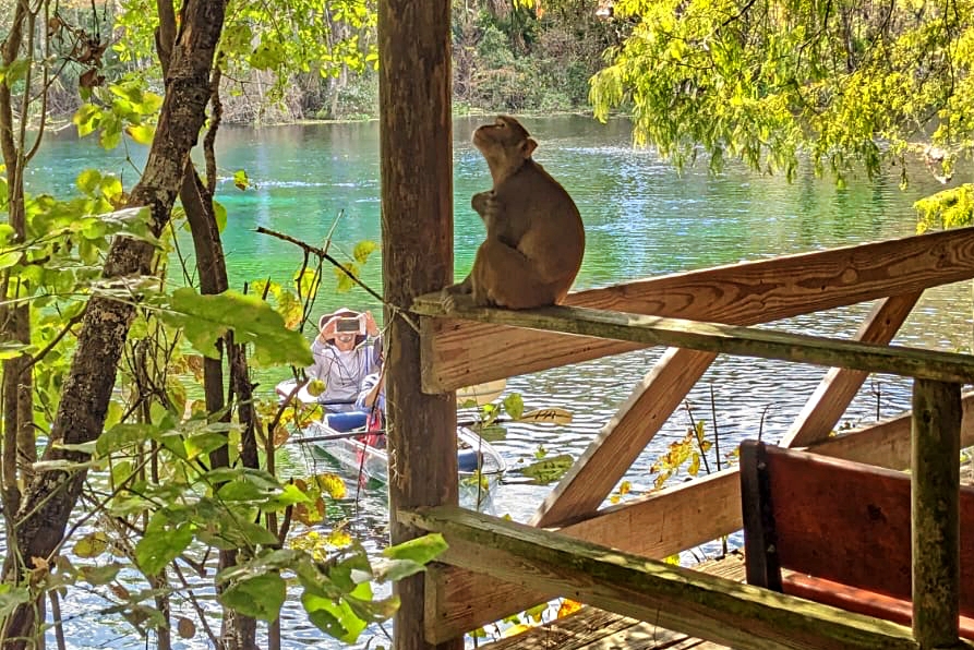 Image of Silver Springs Kayaking taken from the Sea Hunt Deck